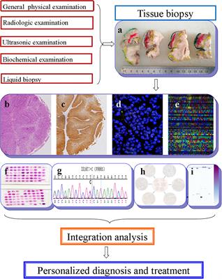 Deep Learning in Head and Neck Tumor Multiomics Diagnosis and Analysis: Review of the Literature